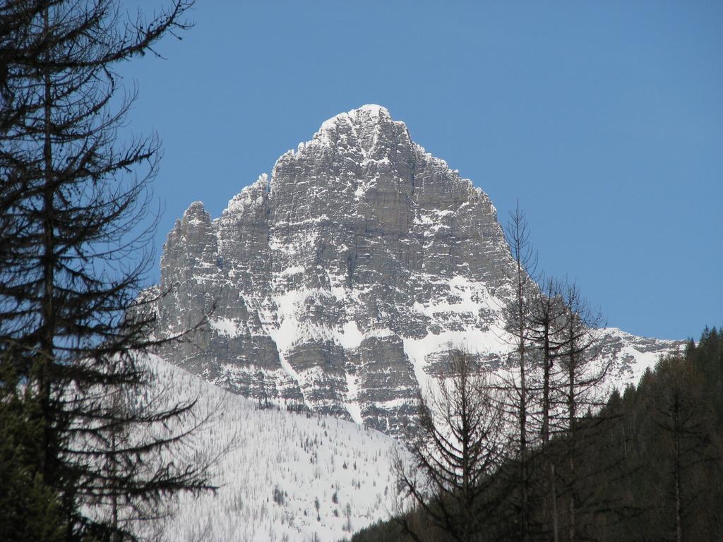 Glacier Haven Inn Pinnacle Zewnętrze zdjęcie