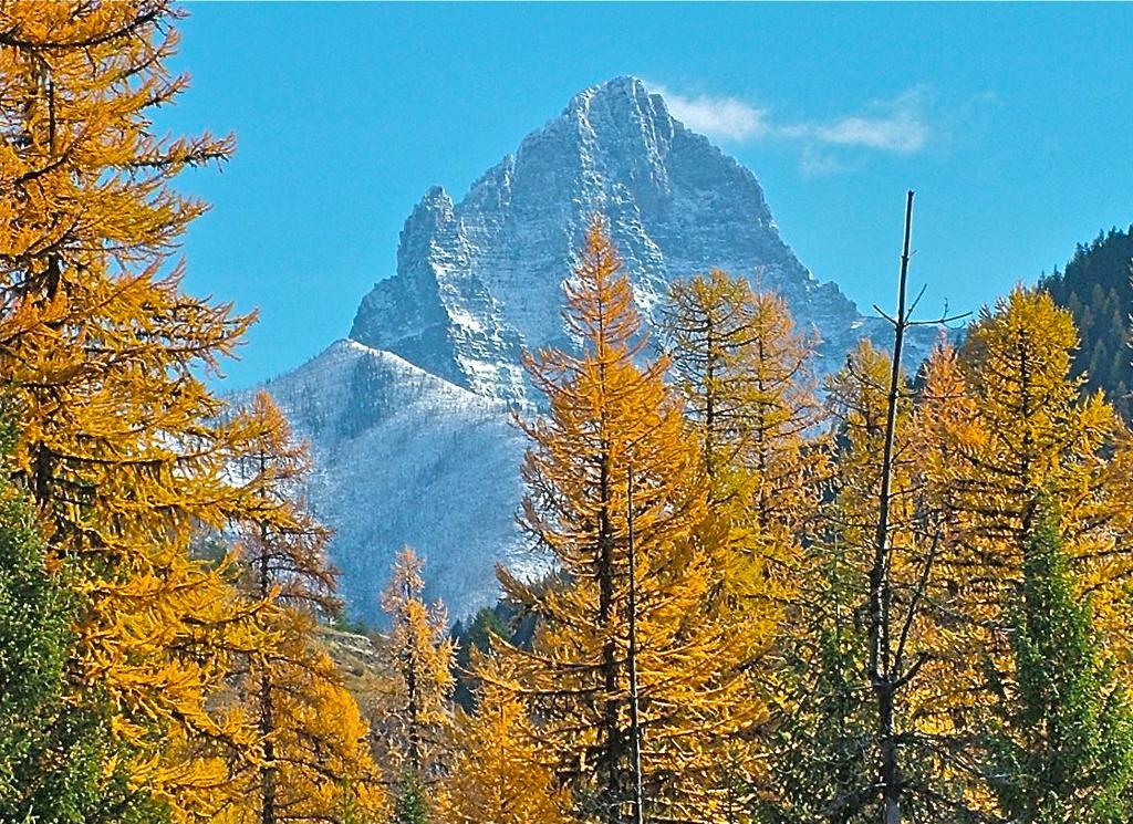 Glacier Haven Inn Pinnacle Zewnętrze zdjęcie